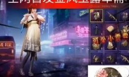 军需最新爆料ss20,SS20系列装备全新亮相，尖端科技引领未来战力